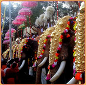 Thrissur Pooram festival